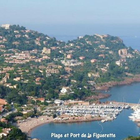 דירות Studio A Theoule Sur Mer A 400 M De La Plage Avec Vue Sur La Mer Terrasse Amenagee Et Wifi מראה חיצוני תמונה