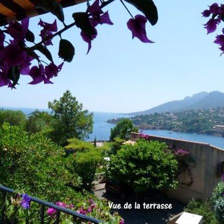 דירות Studio A Theoule Sur Mer A 400 M De La Plage Avec Vue Sur La Mer Terrasse Amenagee Et Wifi מראה חיצוני תמונה