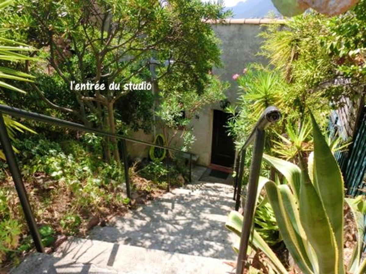 דירות Studio A Theoule Sur Mer A 400 M De La Plage Avec Vue Sur La Mer Terrasse Amenagee Et Wifi מראה חיצוני תמונה